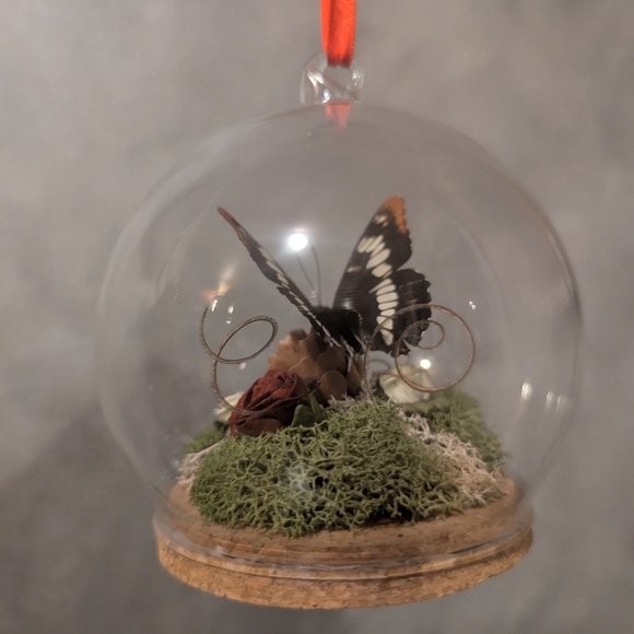 Real Butterfly - Picture 2 of 5